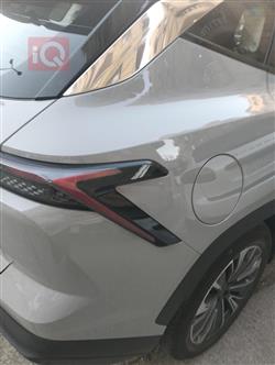 جيتور داشينج